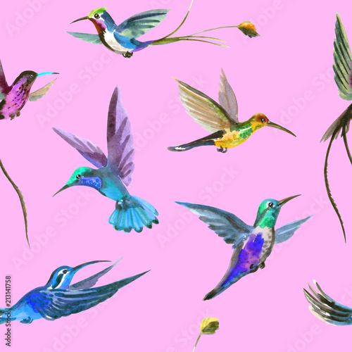 Seamless watercolor pattern from multi-colored hummingbirds.