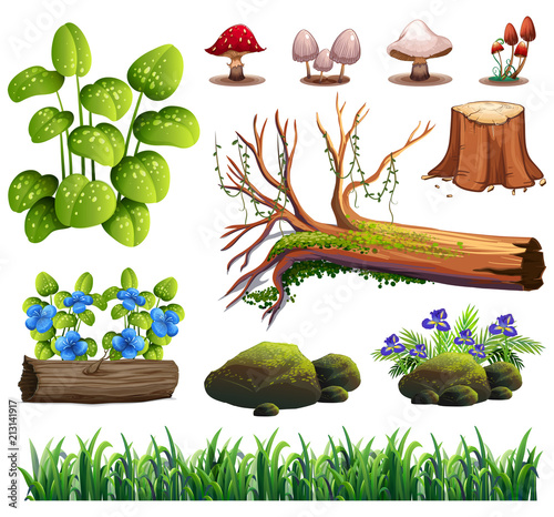 A Set of Forest Element