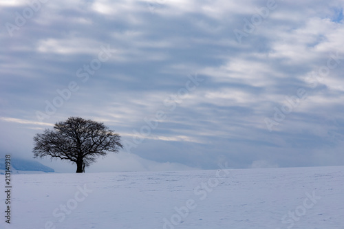 bayerische Winterlandschaft mit Schnee