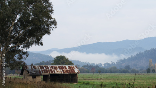 Foggy Mountain Morning