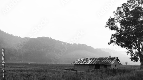 B&W Foggy Morning