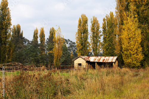 Old Milking Shed