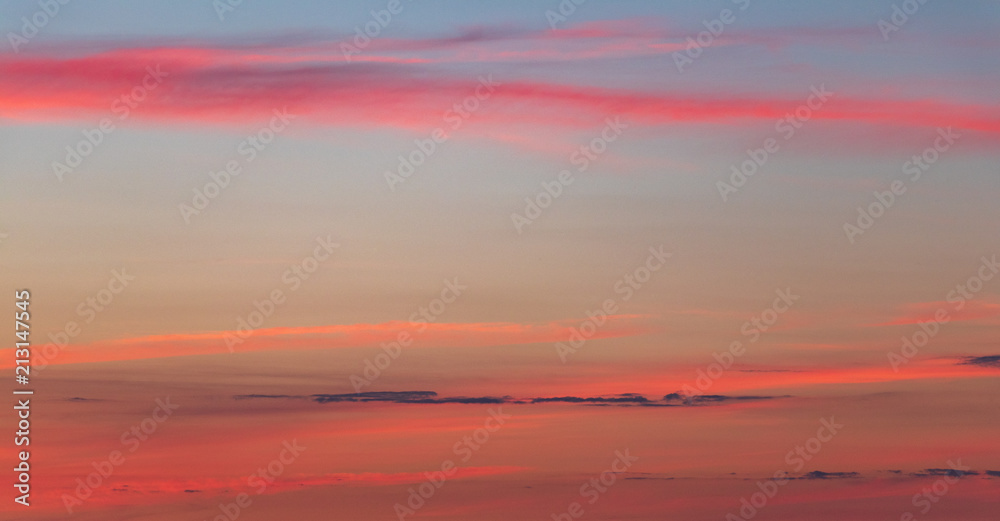 background. defocus. evening sunset in pink / orange colors