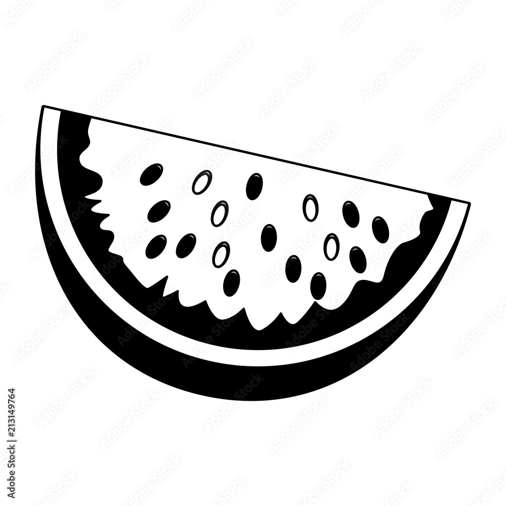 Watermelon fruit isolated vector illustration graphic design