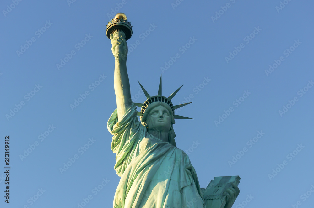 Fototapeta premium Liberty Statue Portrait view