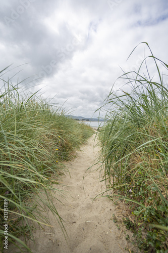 Beach path to ocean in grass on both sides. Blur background. Overcast.