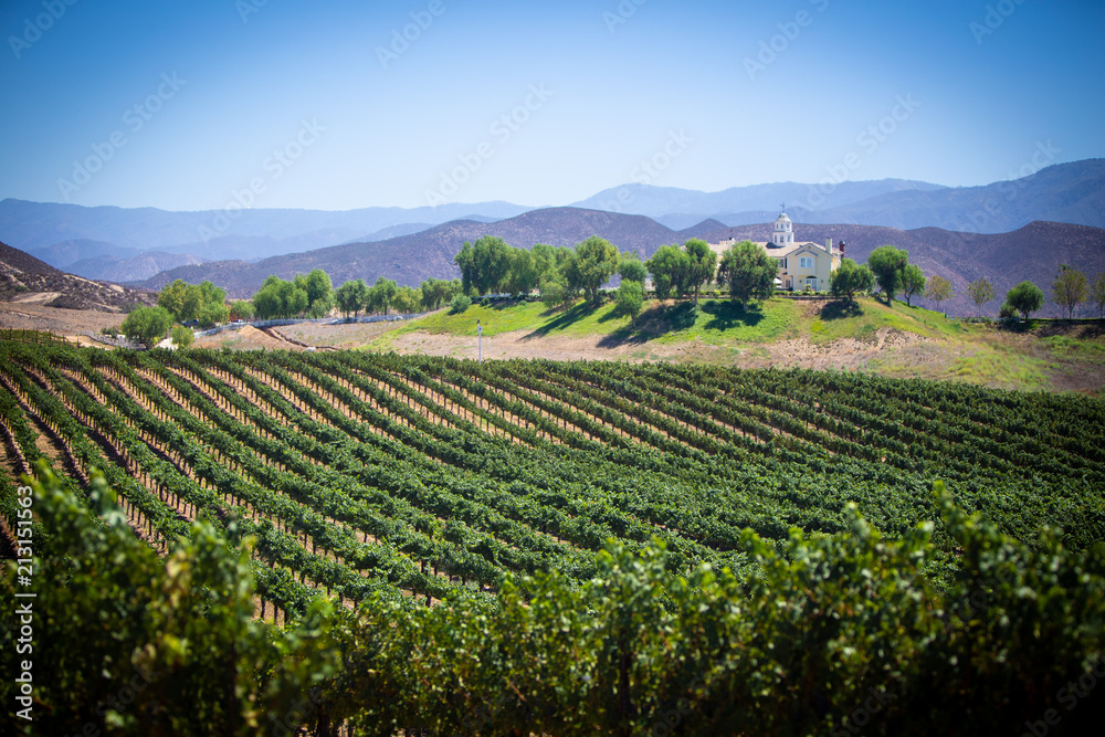 Wine Yard view in Temecula, California