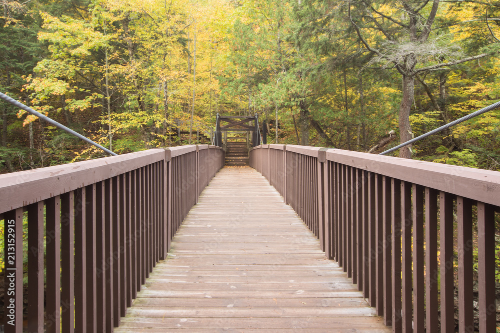 A bridge stretching into a forest of trees with yellow fall color