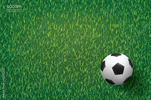 Soccer football ball on green grass of soccer field background. Vector.