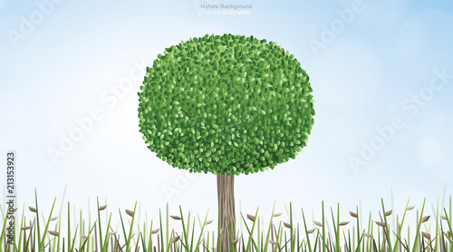 Round of green tree in natural green field area with blue sky and soft light background. Outdoor natural abstract background. Vector.