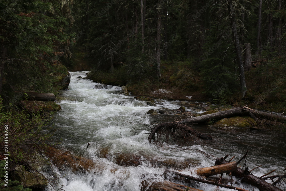 Fototapeta premium Montana River