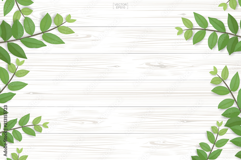 Wood plank pattern and texture with green leaves for natural background ...