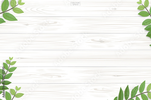 Wood plank pattern and texture with green leaves for natural  background. Abstract background for product presentation. Realistic vector.