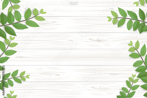 Wood plank pattern and texture with green leaves for natural background. Abstract background for product presentation. Realistic vector.