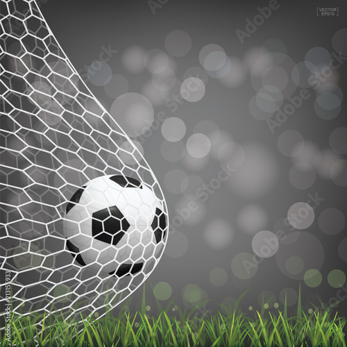 Soccer football ball in soccer goal with light blurred bokeh background. Vector.