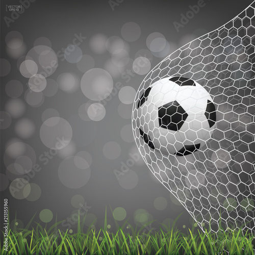 Soccer football ball in soccer goal with light blurred bokeh background. Vector.