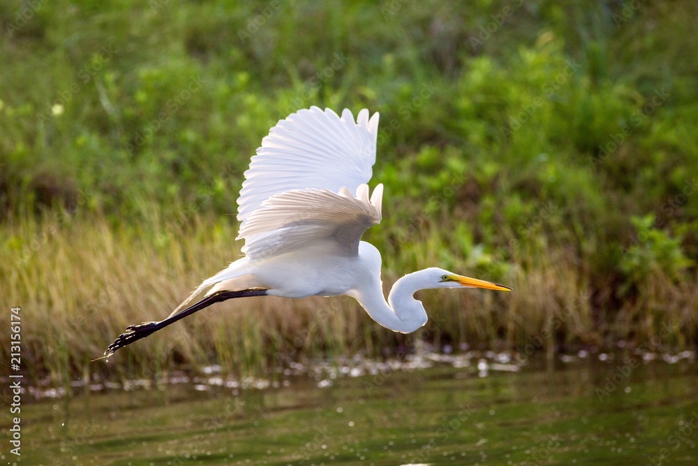 Obraz premium Egreat