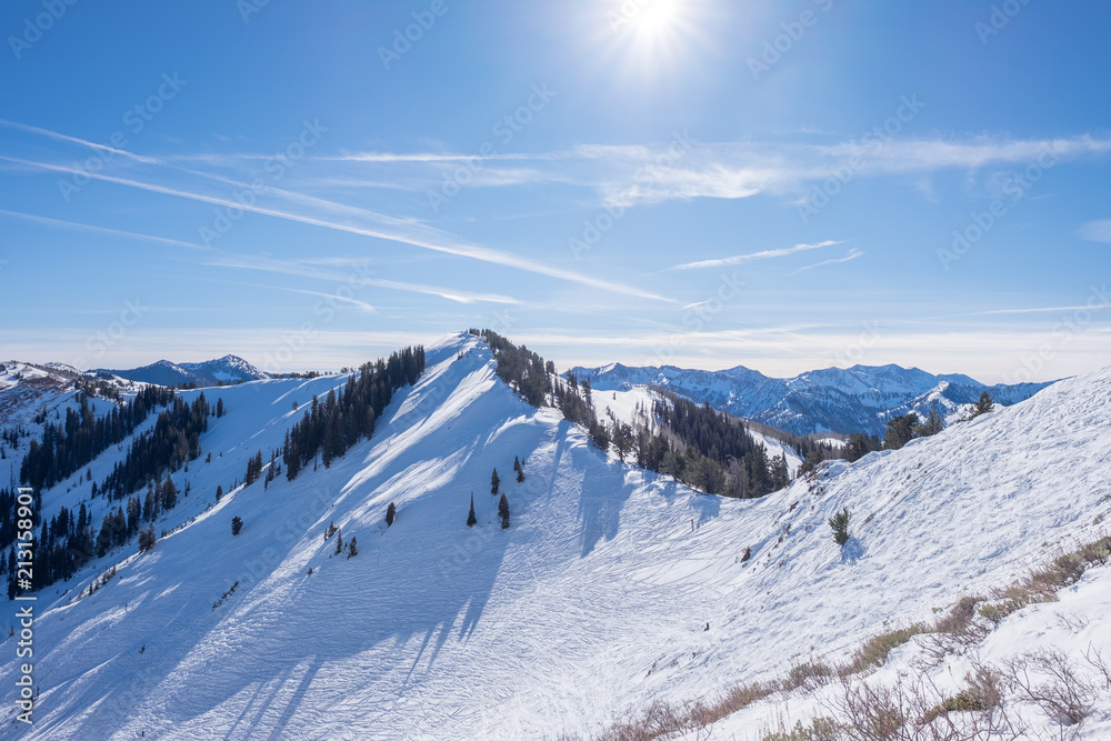 Skiing on a mountain -  seeing far - forward looking - no boundaries