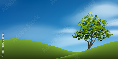 Tree on green grass hill with blue sky. Abstract background park and outdoor for landscape idea. Use for natural article both on print and website. Vector.