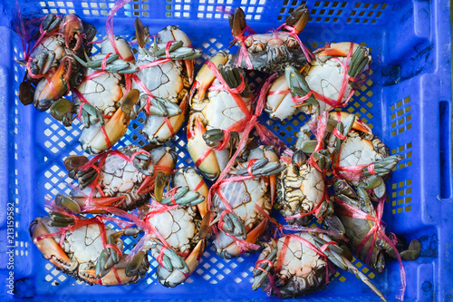 Many raw serrated mud crab tied with red rope in blue basket for cooking seafood.