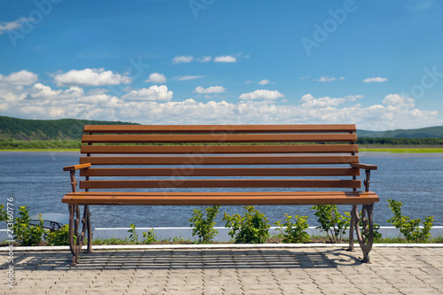 An empty wooden bench on a sunny day. Green bushes and a pond in the background. A place to relax.