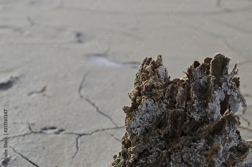 Φωτογραφία A close up of the salty old dry wooden post at the great salt lake