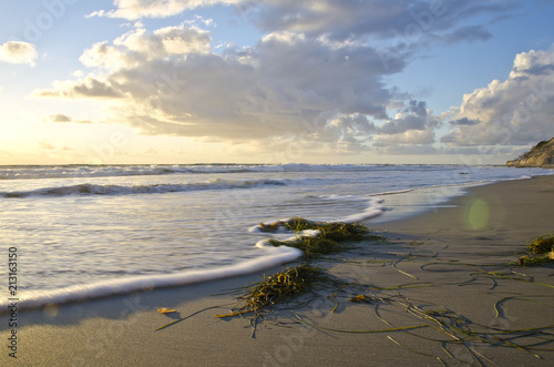 A soft rolling wave on the beach of the carlsbad beach. 