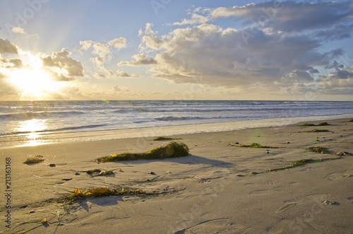 Εκτύπωση καμβά A cool calm sunset on the carlsbad beach covered in sea weeds and salt