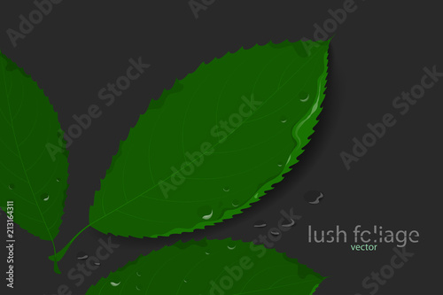 Lush foliage vector green leaf nature backgrounds
