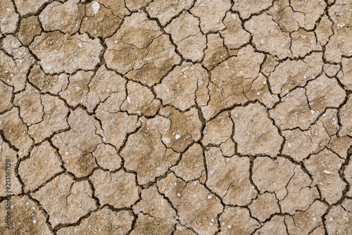 Dry cracked earth background, clay desert texture