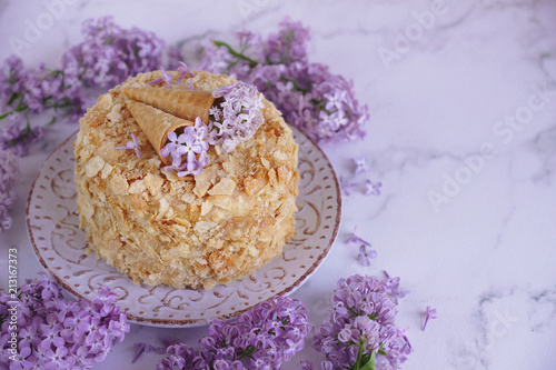 Hand made cake  Napoleon  Millefeuille  Cream slice cake on marb