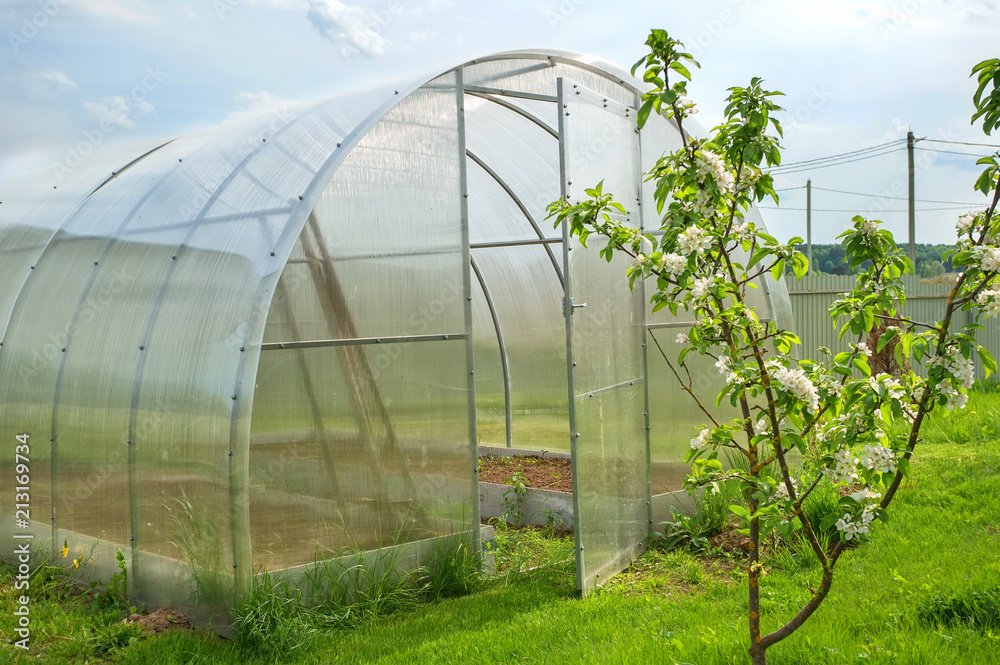 Accelerated cultivation of vegetables in the greenhouse in the country Accelerated cultivation of vegetables in the greenhouse in the country