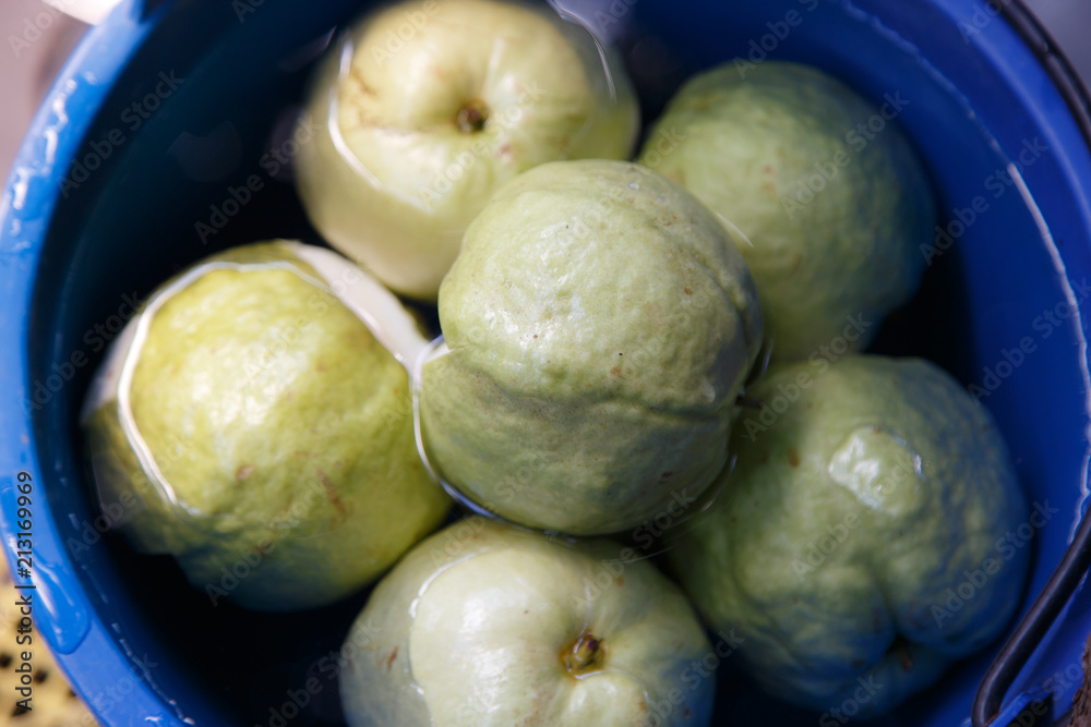 Guava fruit fresh for background Organic Guava food green Guava fruit fresh for background Organic Guava food green