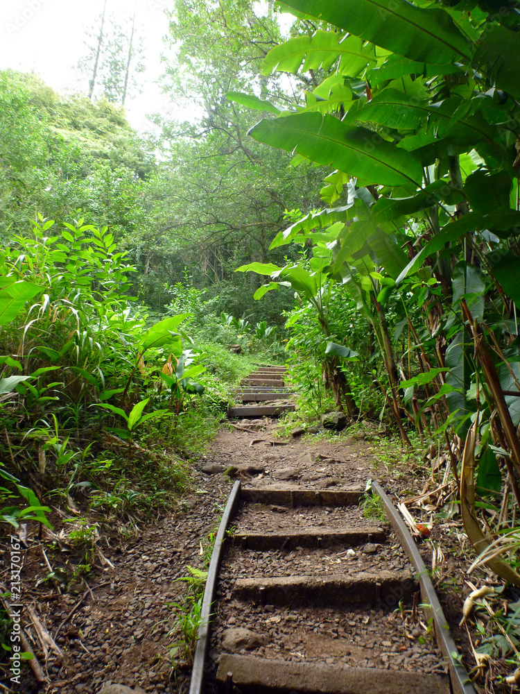 step path up Tantalus Mountain step path up Tantalus Mountain