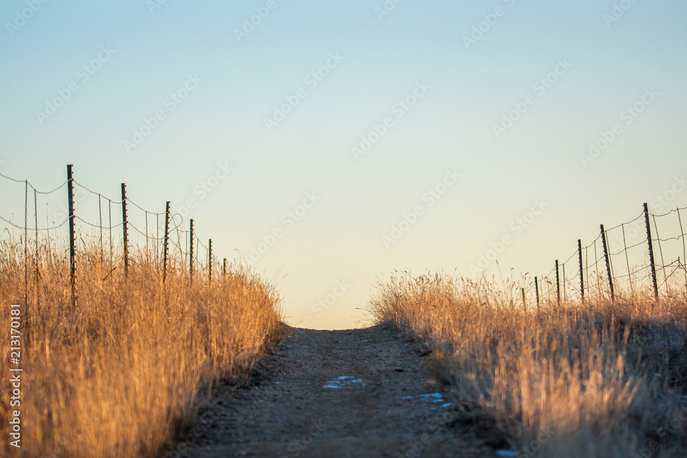 Obraz premium Hiking path among the fields 