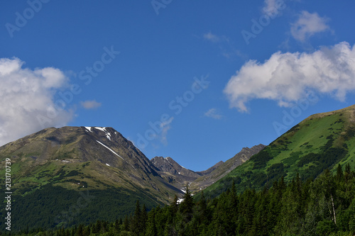 Alaska Mountain Landscape