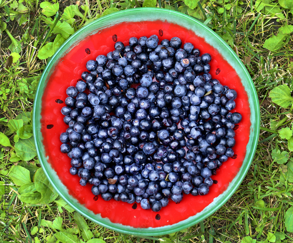 Photo of a macro tasty plate with blueberries Photo of a macro tasty plate with blueberries