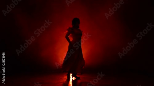 Girl dance of Argentine flamenco . Llight from behind. Smoke background. Silhouette. Slow motion