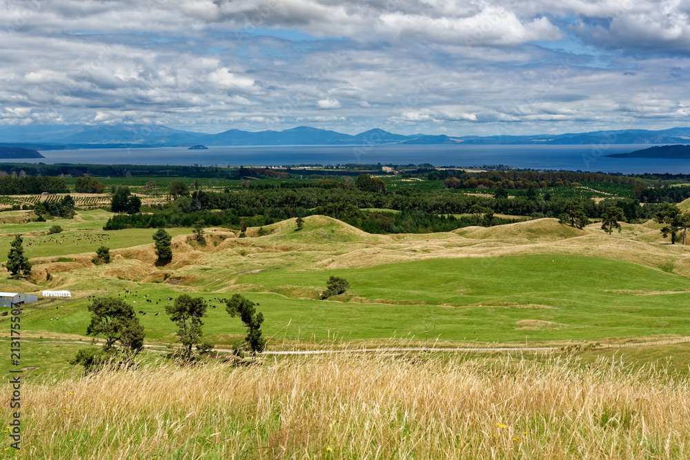 Overlooking Taupo and Lake Taupo from Mt Tauhara