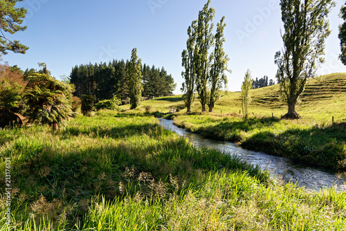 River through lush green rural scenery in Waikato, New Zealand