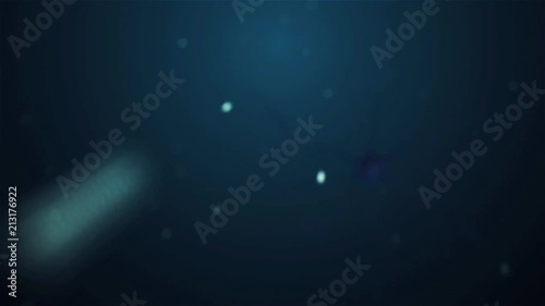 camera movement through the brain cells - neurons
