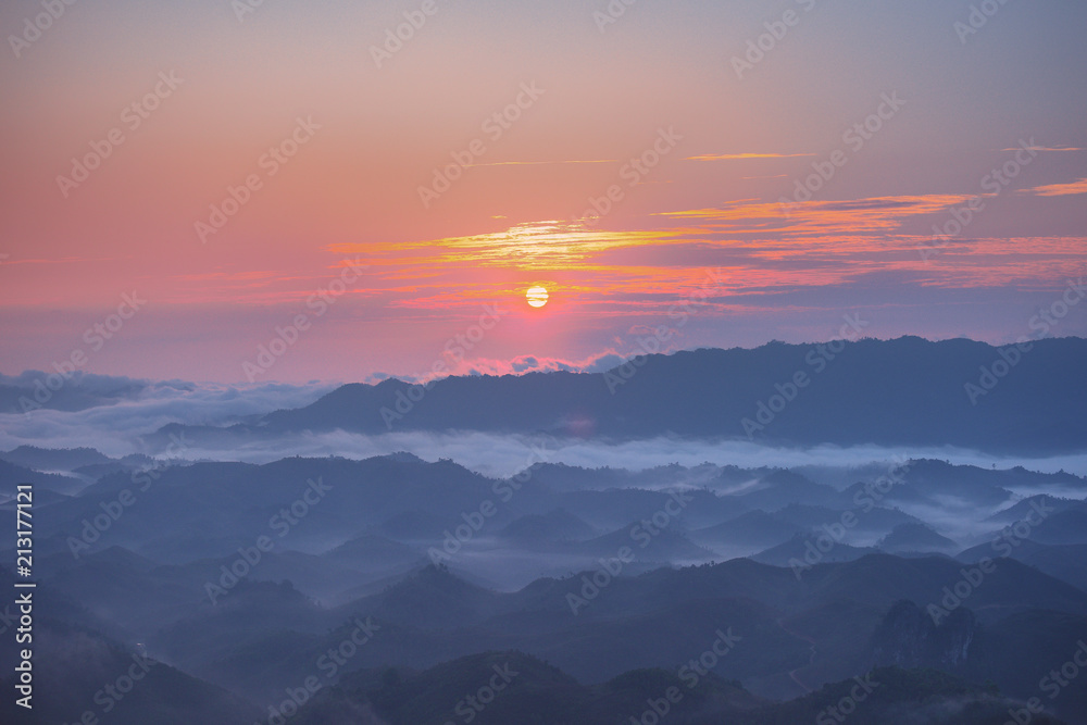 Obraz premium Misty mountain forest background landscape in the morning