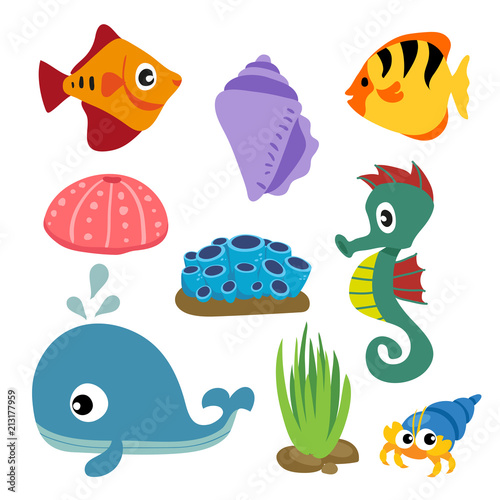 marine life vector collection design