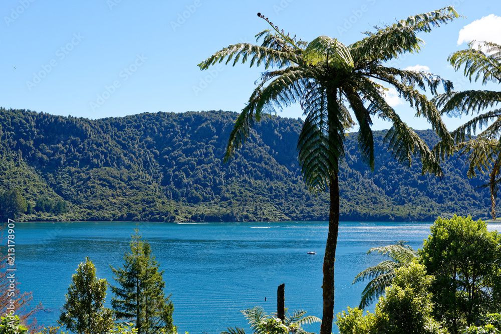 Blue Lake (Tikitaupu) near Rotorua, New Zealand