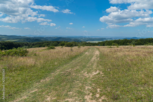 Meadow with dried yellowish grass and blue sky with almost no clouds. Than not a place to walk with friends