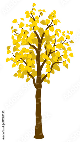 Yellow colored autumn tree
