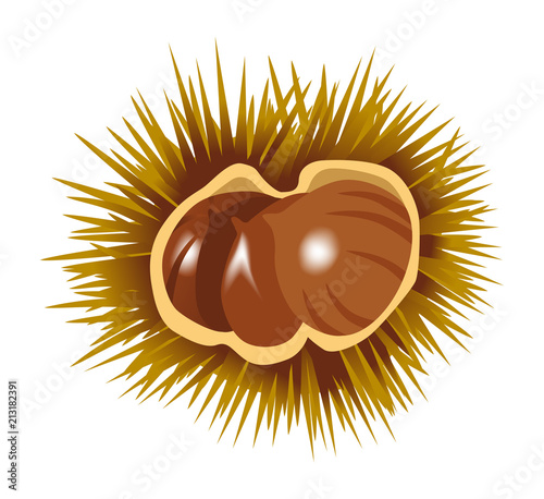 Chestnut clip art