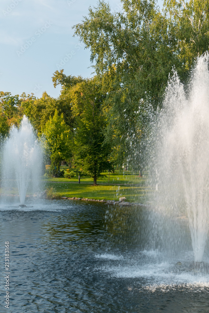 Fountains in a pond with clear water with a green lawn and trees on the shore. A beautiful place to relax.