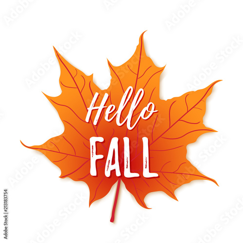 Hello fall on orange maple leaf background. Vector illustration. Autumn season banner. Poster, card design with inscriptionl, colorful imprints foliage, lettering phrase. Concept advertising.