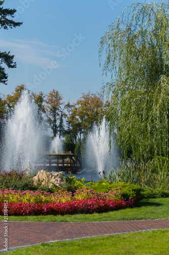 high fountains spray water over a lake in a park with beautiful flowerbeds. Mezhyhirya Ukraine